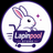 Lapinpool Store - Home