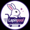 Lapinpool Store - Home